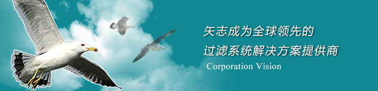 矢志成为全球领先的 过滤系统解决方案提供商