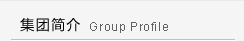 集团简介