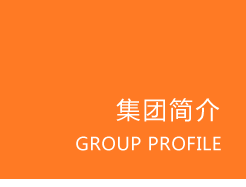 集团简介